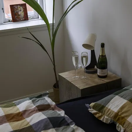 Ubytování v soukromí Hyggelig Byhus I Stueplan Med Solrig Gardhave *