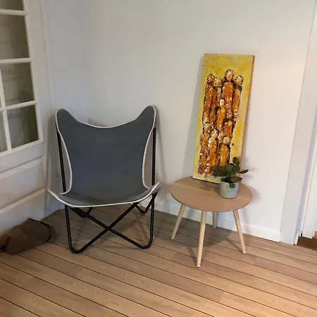 Homestay Hyggelig Byhus I Stueplan Med Solrig Gardhave *